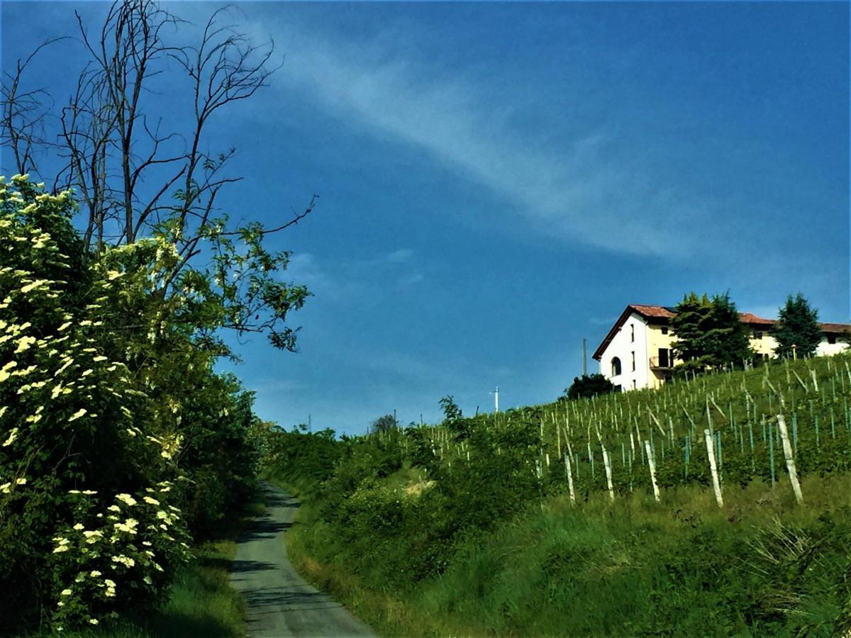 Cascina Malinverni Rocchetta Palafea Dış mekan fotoğraf
